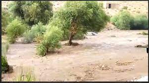 اسامی ۲۰ کشته سیل استهبان